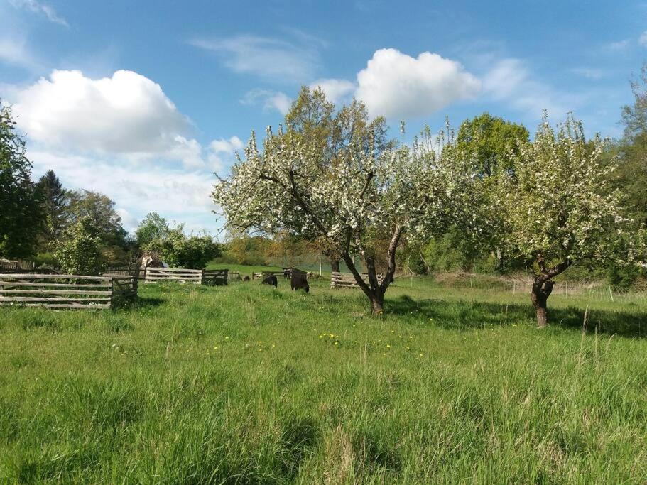 Moderne Wohnung Im Herzen Der Natur - Ingo'S Dream Babelin ภายนอก รูปภาพ